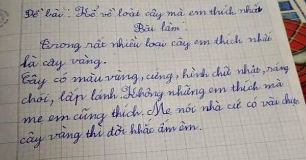 Bật cười bài văn tả cây em thích nhất, học sinh tiểu học viết chân thực đến khó tin về loại cây không ai ngờ nổi