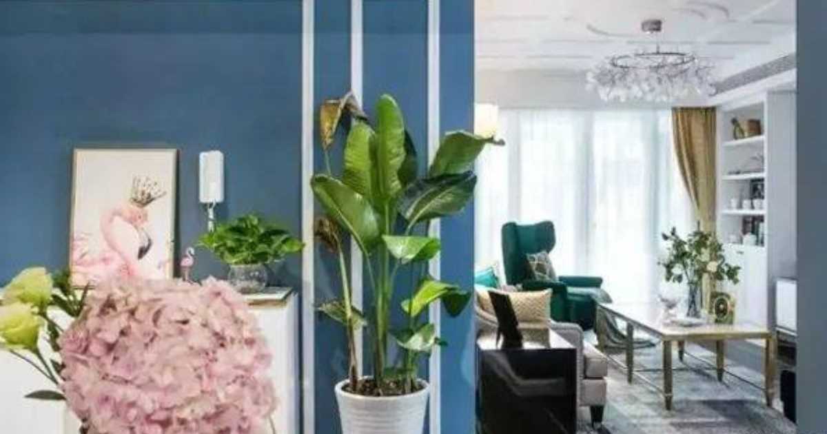Đặt cây xanh ở 5 vị trí này trong nhà, gia chủ vượng đường thăng tiến, thoải mái tiền tiêu