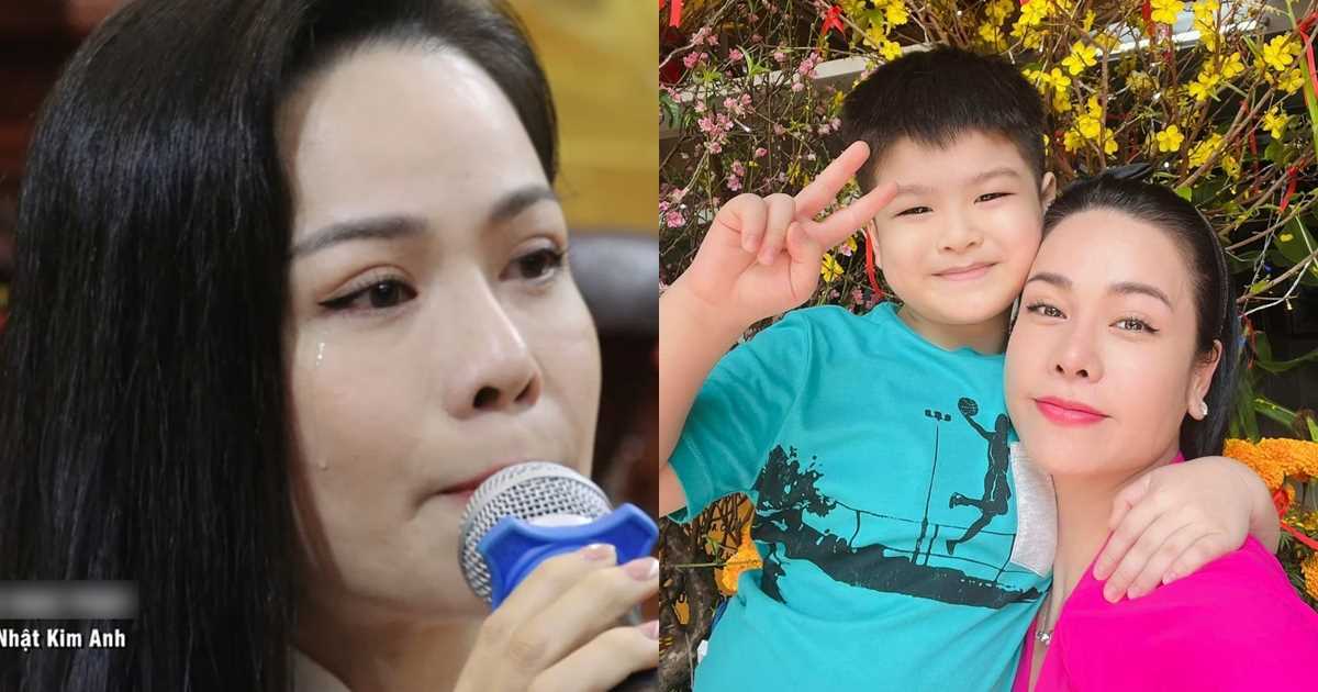 Nhật Kim Anh: 'Tôi có được tất cả mọi thứ, trừ con trai mình'