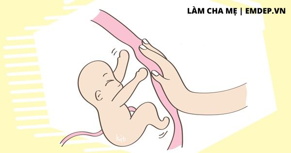 Đây là thời kỳ đỉnh điểm thai nhi dễ bị thiếu oxy mẹ bầu cần phải biết để phòng tránh ngay