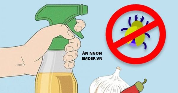 Tự làm bình xịt diệt côn trùng tại nhà với những nguyên liệu có sẵn trong bếp, đơn giản mà hiệu quả không ngờ!