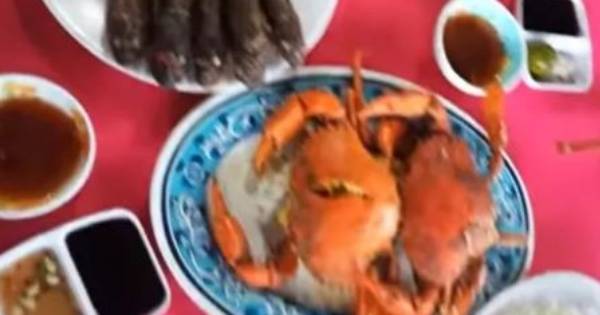 Xôn xao vụ ăn '2 con cua, mấy con vọp, 5 con cá thòi lòi' bị tính 2,5 triệu đồng
