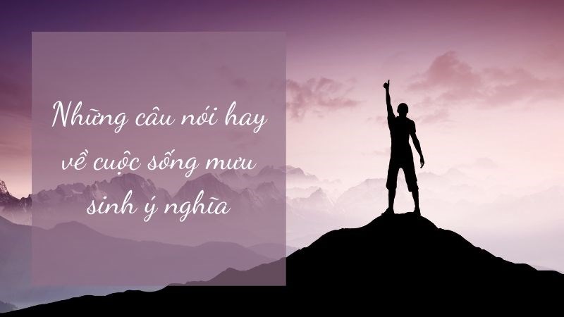 Top 70+ những câu nói hay về cuộc sống mưu sinh giúp bạn thay đổi cuộc đời