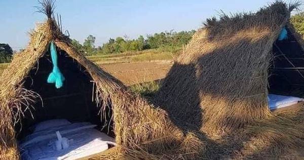 Xôn xao homestay có phong cách lạ đời, đúng với câu 'một túp lều tranh 2 trái tim vàng', tất cả làm từ rơm cực lạ mắt giữa đồng