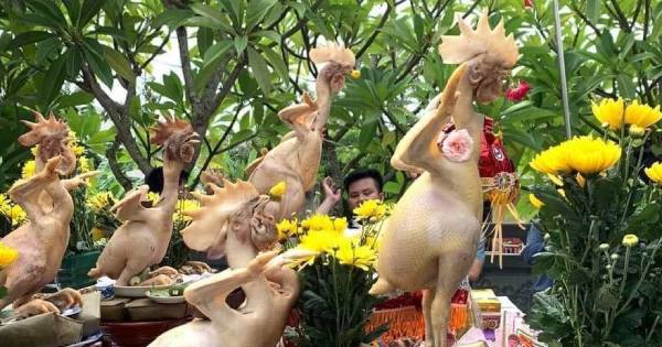 Choáng những kiểu tạo dáng gà 'siêu mẫu' đủ dáng 'quỳ, bay' dâng lên bàn thờ dịp Rằm Tháng Bảy