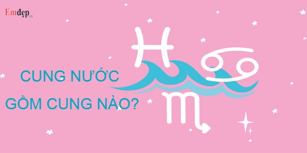 Cung Nước gồm cung nào? Đặc điểm của các cung Nước