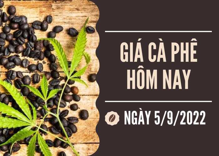 Giá cả thị trường ngày 5/9: Giá vàng trong nước tăng trở lại
