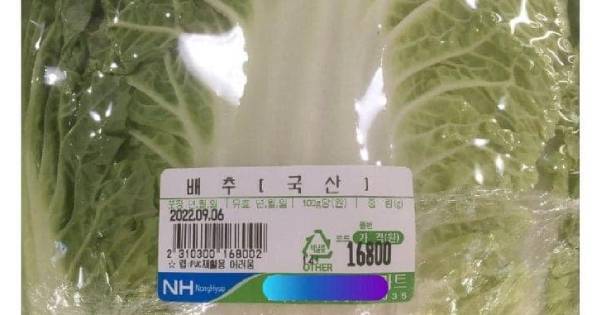 Giật mình giá một cái cải thảo ở Hàn Quốc, CĐM hết hồn, khẳng định về Việt Nam mua được 20-30 cái