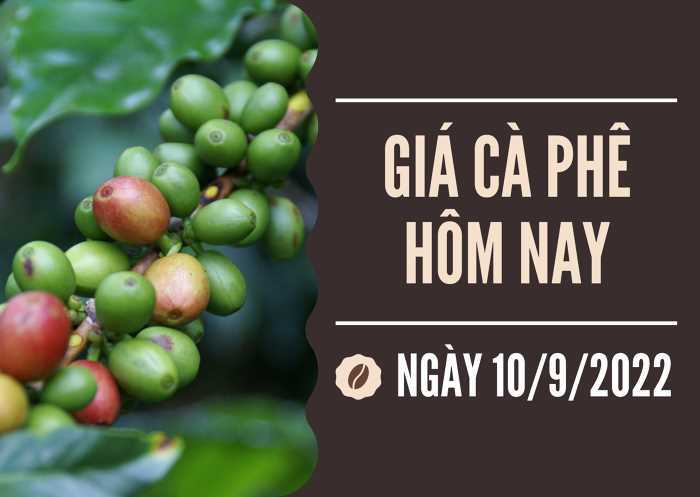 Giá cả thị trường ngày 10/09: Cà phê tại các tỉnh Tây Nguyên giảm nhẹ