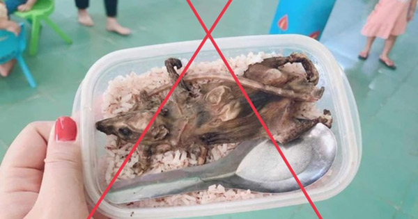 Xôn xao bữa cơm trắng với thịt chuột được cho là của học sinh ở Quảng Nam

