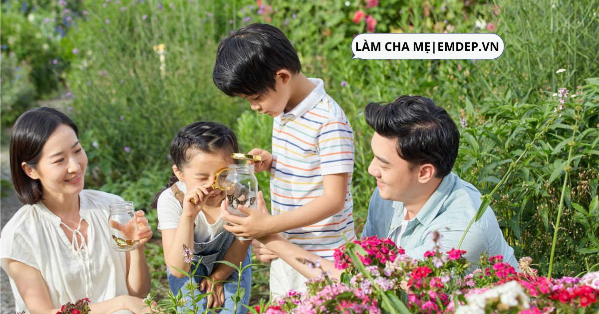 Các con cãi nhau chí chóe, 'tranh giành quyền lợi', mẹ thông minh sẽ làm điều này