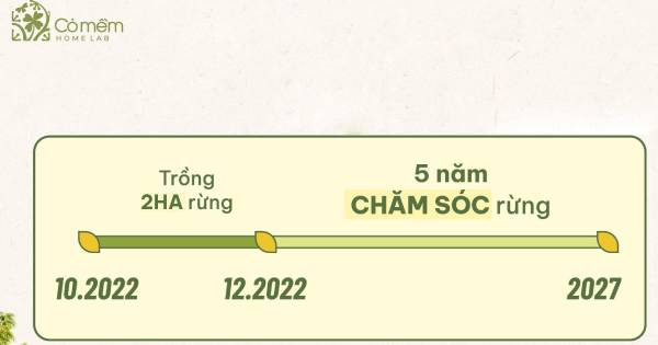 Hiện thực hóa mô hình CSV: Cỏ Mềm 'bắt tay' cùng Hạnh Phúc Xanh trồng 2 hecta rừng ở Ninh Thuận

