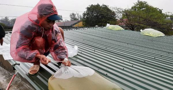 Siêu bão cuồng phong Noru sắp đổ bộ: Làm gì để chằng chống nhà cửa, tránh đổ sập  nguy hiểm?