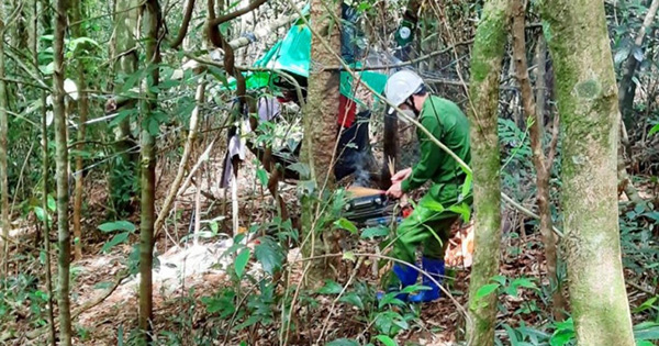 Xác định lai lịch 2 bộ xương khô được phát hiện trong rừng

