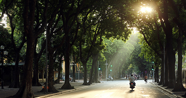Dự báo thời tiết ngày 12/10: Hà Nội sáng sớm trời lạnh, TP.HCM chiều tối có mưa dông