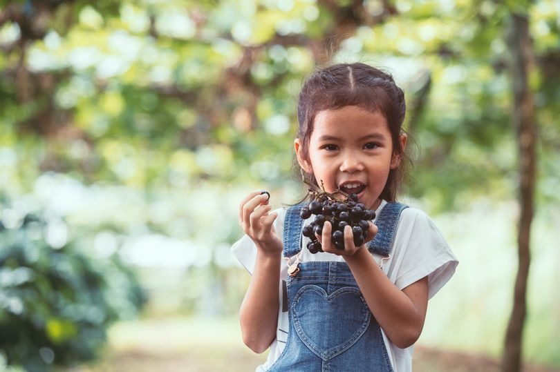 Có 3 chú ý cho mẹ khi chọn trái cây cho con vào mùa thu, bé vừa thích ăn lại ít ốm vặt

