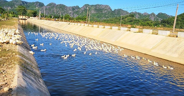 Nhảy xuống mương nước cứu bạn, bé lớp 5 đuối nước thương tâm

