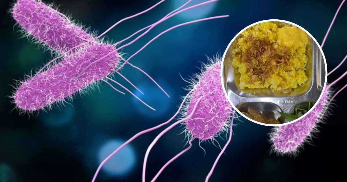 Những thực phẩm nào dễ nhiễm khuẩn Salmonella?