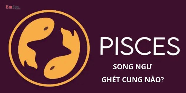 Cung Song Ngư ghét cung nào và thích cung nào nhất? 