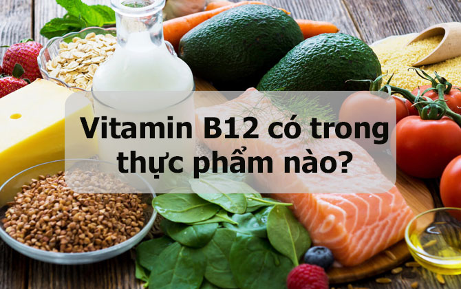 Vitamin B12 có trong thực phẩm nào? Top 12 thực phẩm giàu Vitamin B12