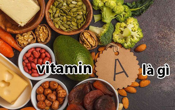 Vitamin A có trong thực phẩm nào? 15 loại thực phẩm giàu Vitamin A nhất