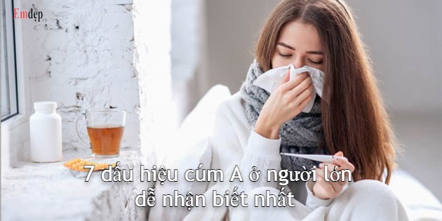 7 dấu hiệu cúm A ở người lớn dễ nhận biết nhất