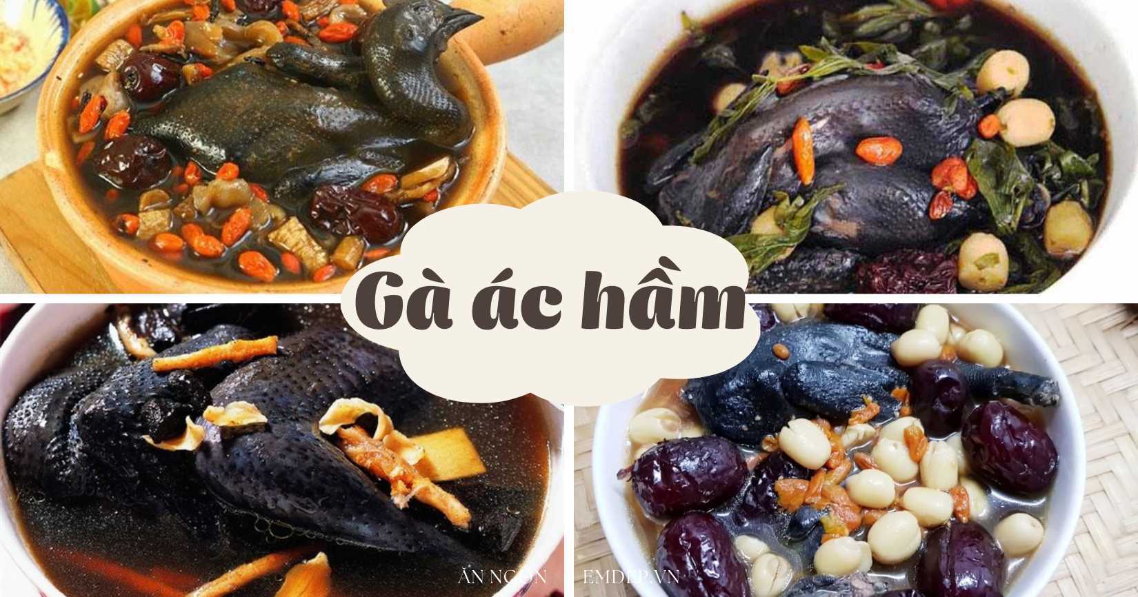 Gà ác hầm gì ngon? 4 món gà ác hầm không thể bỏ qua mỗi khi đông về