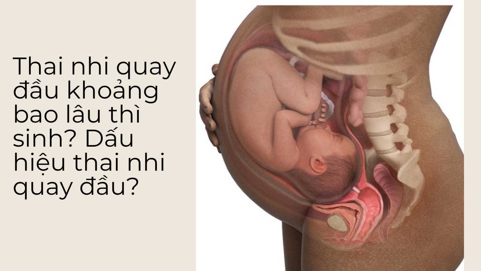 Thai nhi quay đầu khoảng bao lâu thì sinh và dấu hiệu thai nhi quay đầu mẹ bầu cần nắm rõ