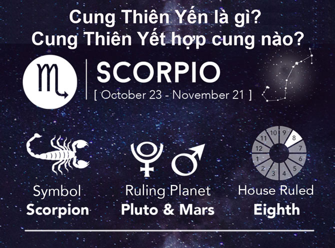 Thiên yết là cung gì? Cung thiên yết hợp với cung nào?