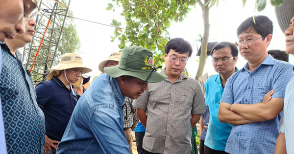 Nguyên nhân chính khiến cháu bé Đồng Tháp bị lọt vào lòng cọc bê tông dẫn đến tử vong