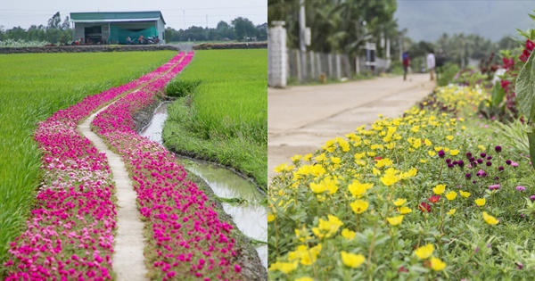 Những con đường hoa đẹp ngỡ ngàng làng quê Việt