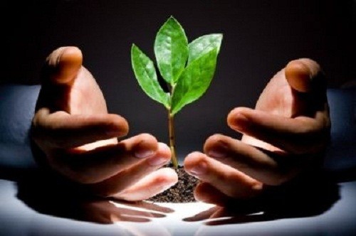 Đời sẽ dịu dàng biết mấy nếu ta biết đặt mình vào vị trí của nhau