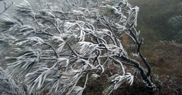 Dự báo thời tiết từ mùng 4 đến mùng 5 Tết Nguyên đán Quý Mão: Rét buốt đến mức nào?

