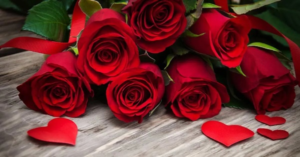 Để không còn hoa hồng Valentine vứt ngập thùng rác, làm 4 cách này sẽ thấy điều kỳ diệu hậu ngày 14/2