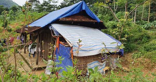 Bé gái 11 tuổi sinh con trai nặng 3,2 kg ở Phú Thọ: Người bố lên tiếng

