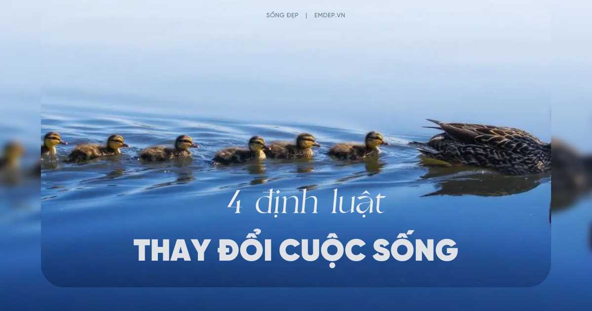 4 định luật có thể thay đổi nhân sinh quan của bạn về cuộc sống