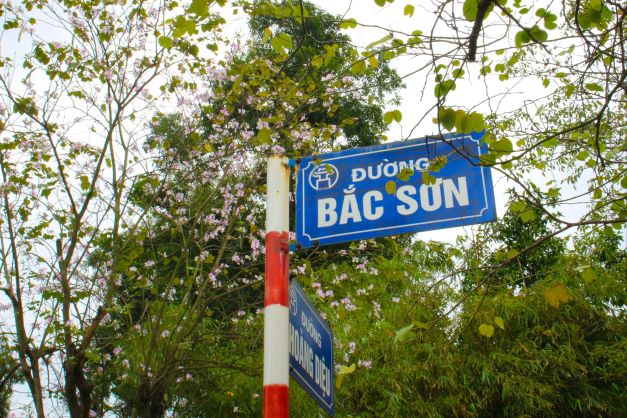 Hà Nội đẹp nao lòng trong sắc tím hoa ban rợp trời, chị em xúng xính áo dài chụp ảnh dịp cuối tuần