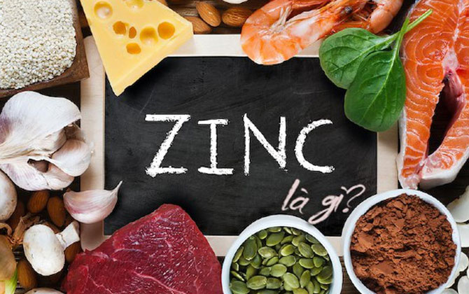 Zinc là gì? Tác dụng và cách bổ sung Zinc hiệu quả cho cơ thể