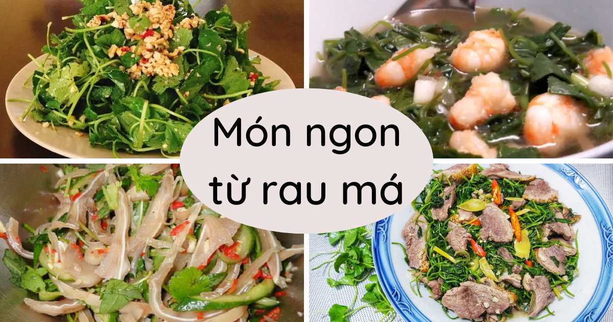 Rau má nấu gì ngon? Chia sẻ 4 món ăn từ rau má giúp thanh nhiệt và giải độc cơ thể