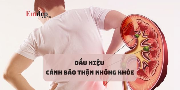 8 dấu hiệu cảnh báo thận không khỏe ai cũng nên để ý