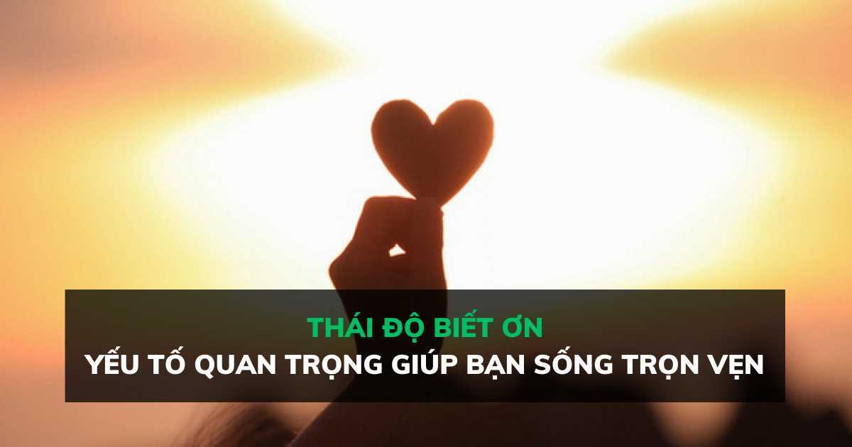 Thái độ biết ơn: Yếu tố quan trọng giúp bạn sống trọn vẹn