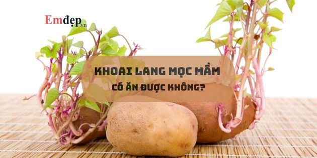 Khoai lang mọc mầm có ăn được không? Có nên ăn không?