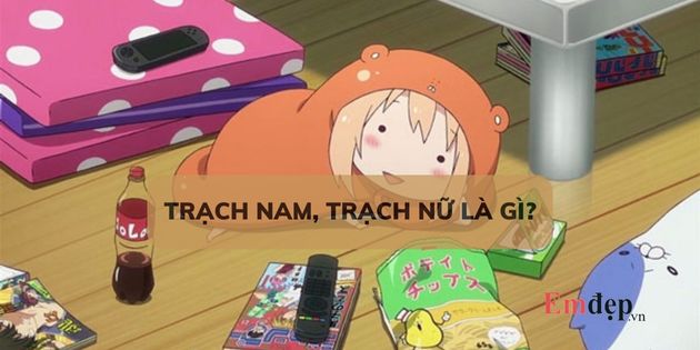 Trạch nam, trạch nữ là gì? Dấu hiệu nhận biết trạch nam, nữ