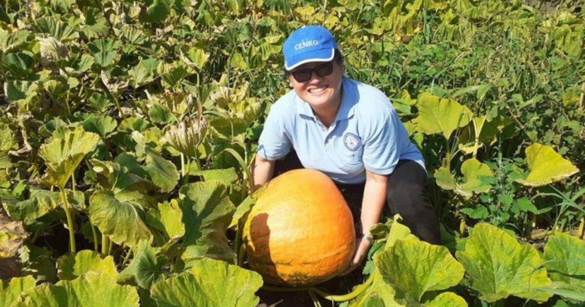 Cô kỹ sư Hải Phòng theo đuổi "nông nghiệp lười", tiết lộ 4 nguyên tắc làm vườn đáng chú ý
