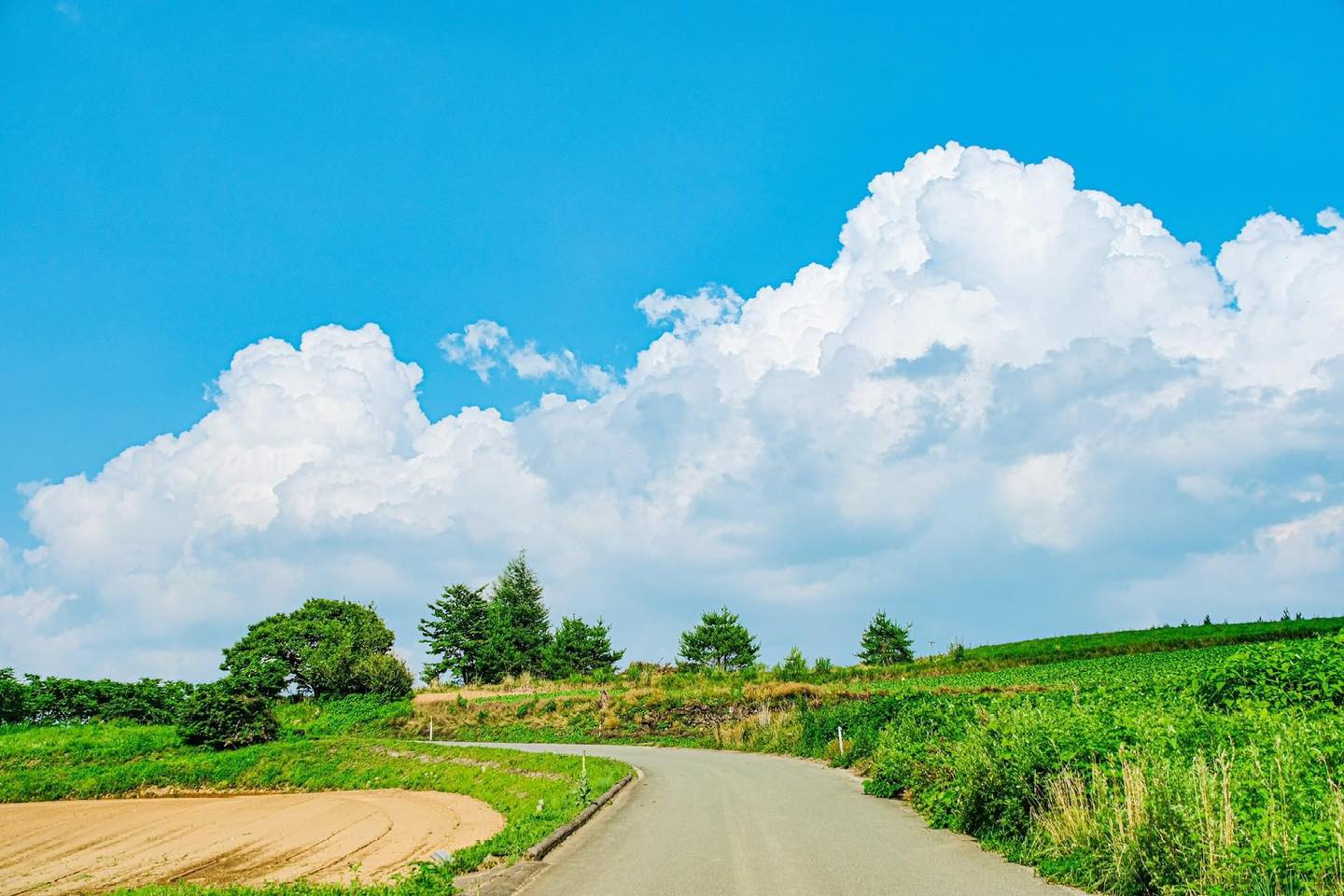 Ngắm khung cảnh làng quê xanh tận chân trời ở Nhật Bản, lý do nông thôn sạch đến kinh ngạc