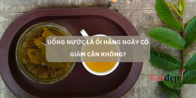 Uống nước lá ổi hàng ngày có giảm cân không? Có tốt không?