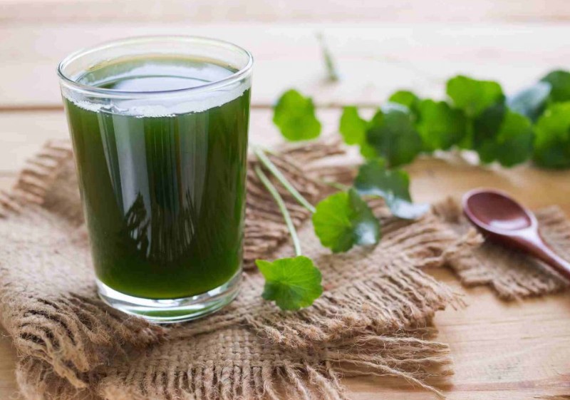 Loại rau có vị đắng mọc dại ven đường, mùa hè làm sinh tố giải nhiệt rất tốt cho sức khỏe