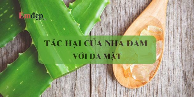 Tác hại của nha đam với da mặt và cách ngăn ngừa hiệu quả