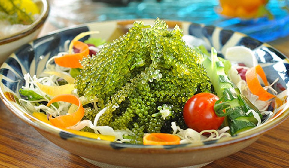 Loại rong biển có hình chùm nho được ví như ‘trứng cá muối xanh’, làm món salad giòn ngon rất tốt cho việc giảm cân