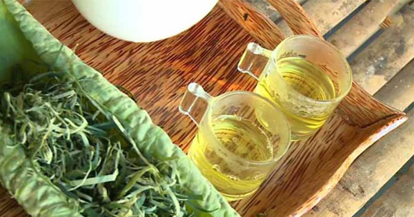 Uống nước lá gì để giảm axit uric hiệu quả?